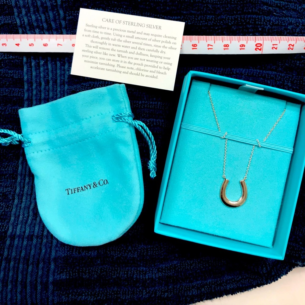 Tiffany & Co never worn horse shoe necklace